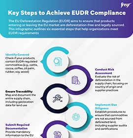 Key Steps to Achieve EUDR Compliance
