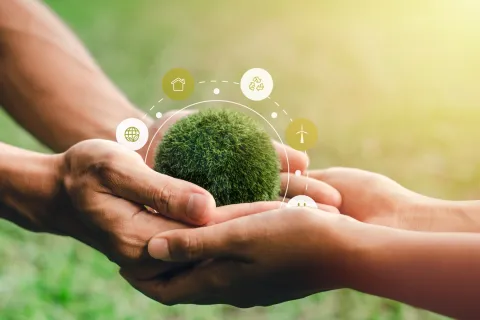 Achieving Sustainability with ECOCERT COSMOS Certification