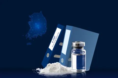 Navigating K-DMF Requirements in South Korea: What Overseas API Manufacturers Need to Know