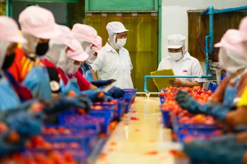 What is Vietnam Unified Food Safety Management System?
