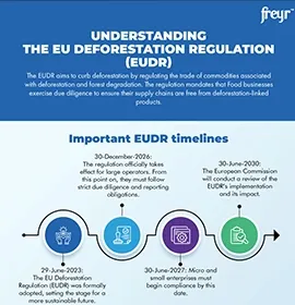 Understanding the EU Deforestation Regulation (EUDR)