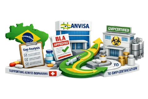 BLA Submission & Regulatory Operations in Brazil 